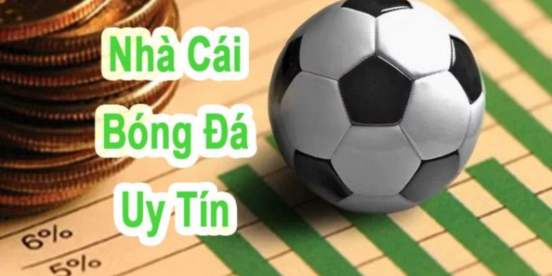 Đặt cược thể thao qua các nền tảng nhà cái trực tuyến