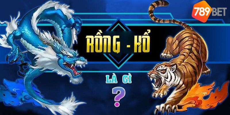 Rồng Hổ là gì?